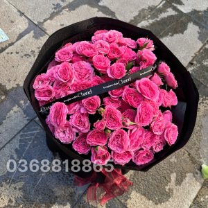 Kiêu Sang - VPHB2405211000