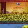 Thảm hoa Hướng Dương