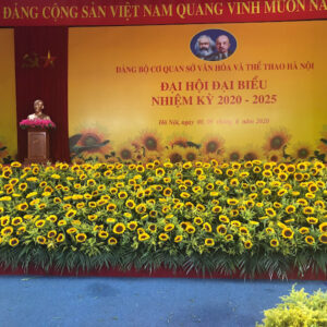 Thảm hoa Hướng Dương