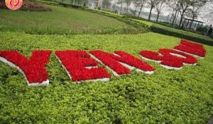 Thảm hoa hội nghị mẫu 08