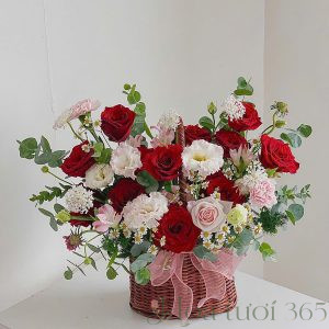 Hoa hội nghị